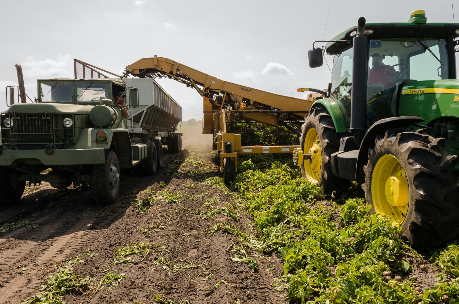 Curva crescente em exportações no agronegócio brasileiro